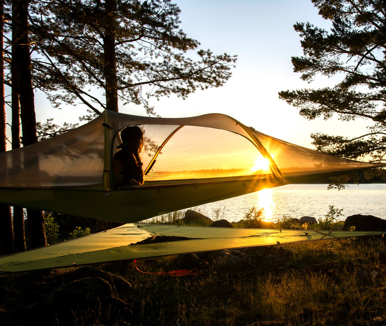 Tree Tent Rental