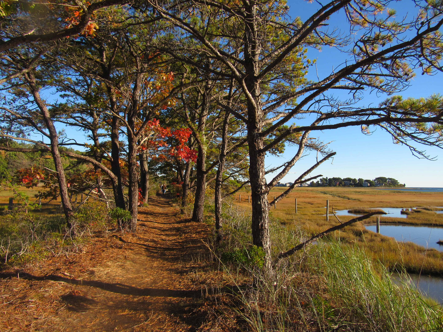 Delivery - Landing or Trailhead of Choice