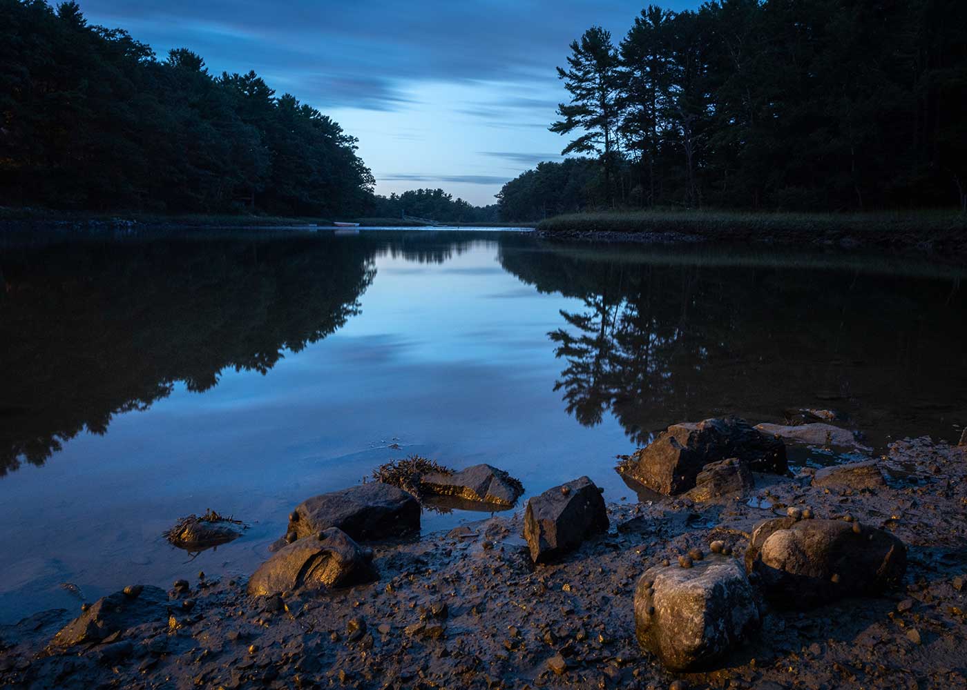 Delivery - Rachel Carson and Chauncey Creek Confluence