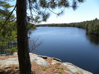 Delivery - Scituate Pond Landing and Trails Area