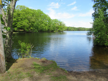 Delivery - Scituate Pond Landing and Trails Area