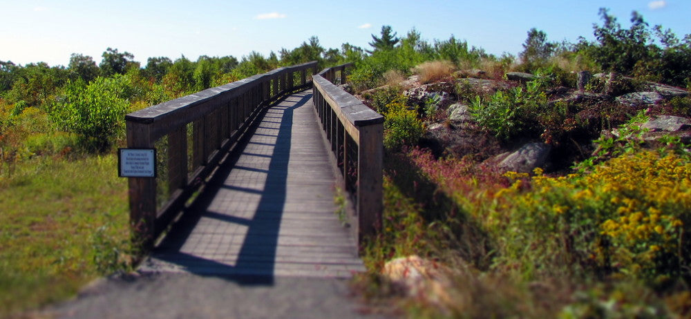 Mount Agamenticus trail hiking