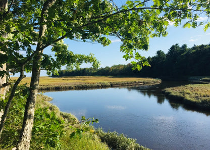 Delivery - Rachel Carson and Chauncey Creek Confluence